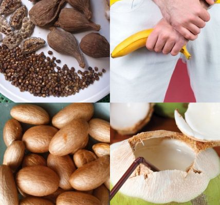 Natural Hydration and Wellness: The Power of Bitter Kola, Coconut Water, and Alligator Pepper Natural Hydration and Wellness: The Power of Bitter Kola, Coconut Water, and Alligator Pepper