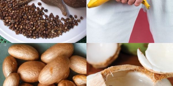 Natural Hydration and Wellness: The Power of Bitter Kola, Coconut Water, and Alligator Pepper