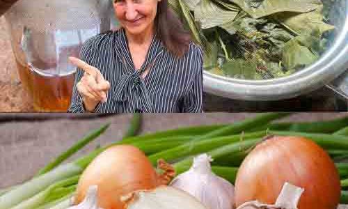 The Ultimate Herbal Tea for Immunity, Digestion, and Overall Wellness