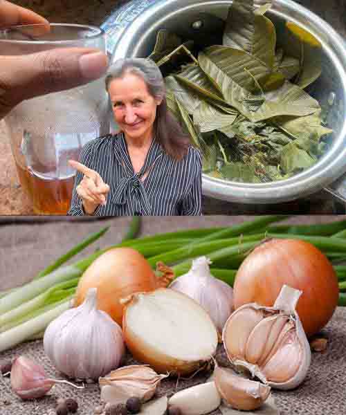 The Ultimate Herbal Tea for Immunity, Digestion, and Overall Wellness The Ultimate Herbal Tea for Immunity, Digestion, and Overall Wellness