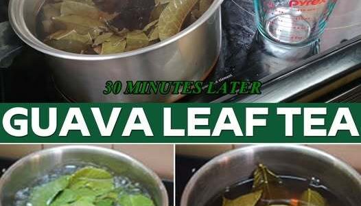 How to Make Guava Leaf Tea: A Simple and Beneficial Guide