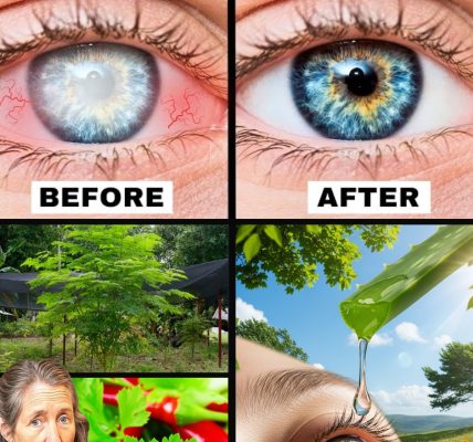 5 Essential Leaves to Naturally Improve Your Eye Health 5 Essential Leaves to Naturally Improve Your Eye Health