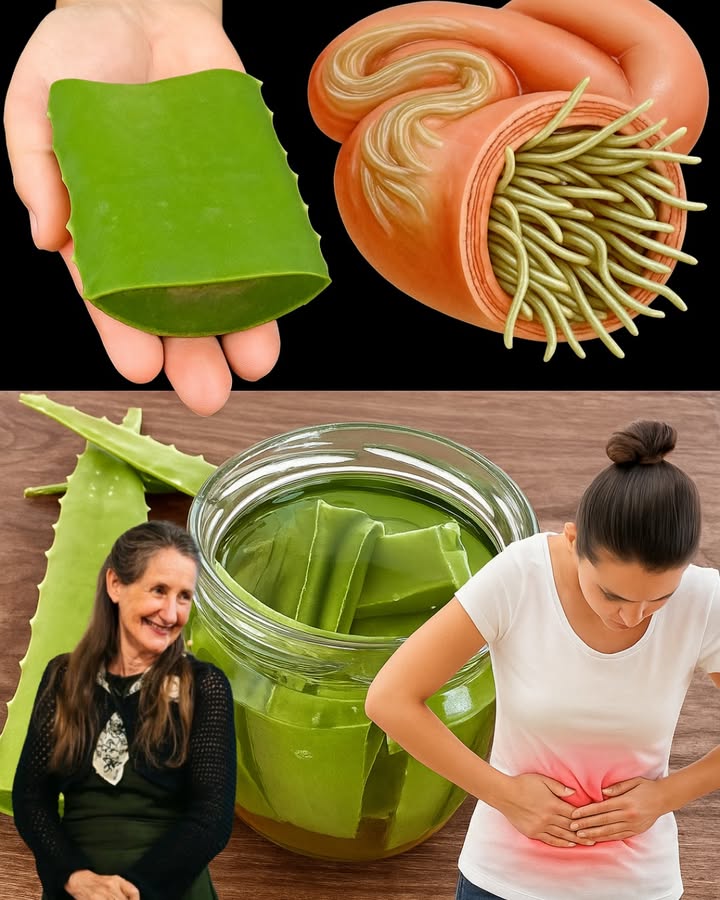 🌿 Unlock the Power of Aloe Vera: A Simple Remedy to Boost Immunity, Soothe Digestion, and Detox Naturally 🌿 Unlock the Power of Aloe Vera: A Simple Remedy to Boost Immunity, Soothe Digestion, and Detox Naturally