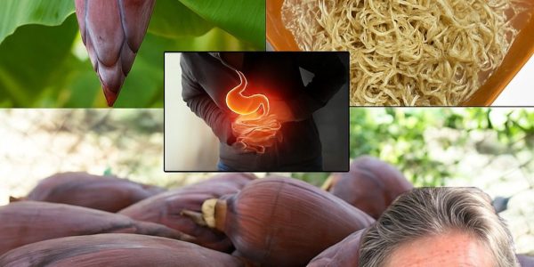 Unveiling the Banana Blossom: Your New Superfood Obsession