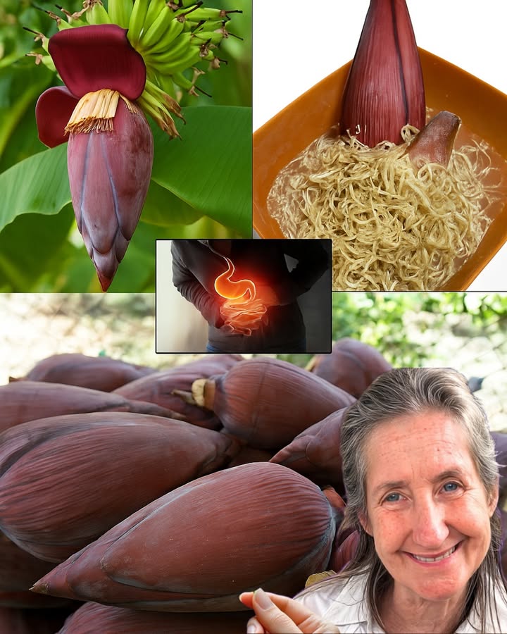 Discover the Hidden Power of Banana Blossom: A Nutrient-Packed Superfood You’ll Love Discover the Hidden Power of Banana Blossom: A Nutrient-Packed Superfood You’ll Love