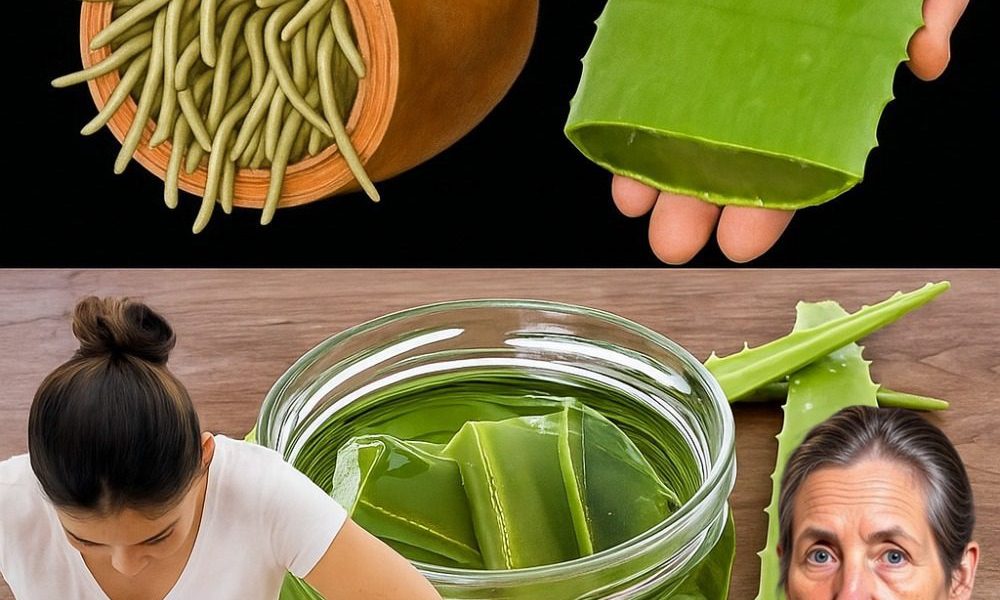 The Gut-Healing Miracle You’ve Overlooked: Could Aloe Vera Be Your Digestive Game-Changer? 🌿 The Gut-Healing Miracle You’ve Overlooked: Could Aloe Vera Be Your Digestive Game-Changer? 🌿