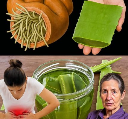 The Gut-Healing Miracle You’ve Overlooked: Could Aloe Vera Be Your Digestive Game-Changer? 🌿 The Gut-Healing Miracle You’ve Overlooked: Could Aloe Vera Be Your Digestive Game-Changer? 🌿
