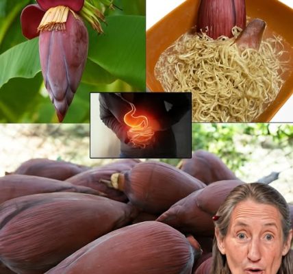 ๐ Banana Blossom: The Secret Superfood Youโll Wish You Discovered Sooner ๐ Banana Blossom: The Secret Superfood Youโll Wish You Discovered Sooner