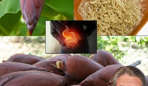 🍌 Banana Blossom: The Secret Superfood You’ll Wish You Discovered Sooner 🍌 Banana Blossom: The Secret Superfood You’ll Wish You Discovered Sooner