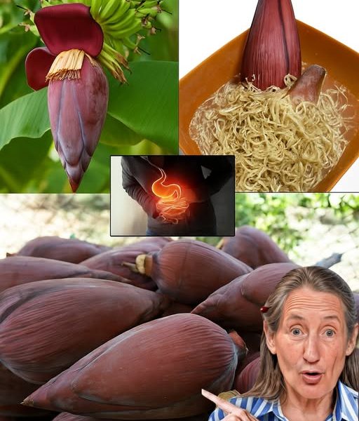🍌 Banana Blossom: The Secret Superfood You’ll Wish You Discovered Sooner 🍌 Banana Blossom: The Secret Superfood You’ll Wish You Discovered Sooner
