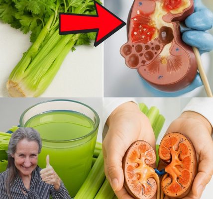 🌿 Unlock the Ancient Amazonian Secret: Revitalize Your Kidneys with a Potent Herbal Cleanse 🌿 Unlock the Ancient Amazonian Secret: Revitalize Your Kidneys with a Potent Herbal Cleanse
