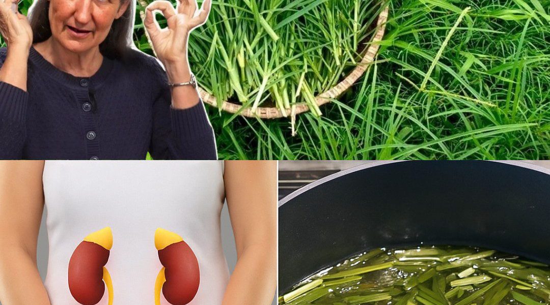 Discover the Secret Superpowers of Goosegrass: The Wild Herb That Revolutionizes Your Health 🌿 Discover the Secret Superpowers of Goosegrass: The Wild Herb That Revolutionizes Your Health 🌿