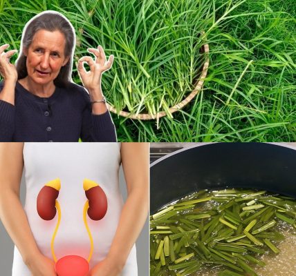 Discover the Secret Superpowers of Goosegrass: The Wild Herb That Revolutionizes Your Health 🌿 Discover the Secret Superpowers of Goosegrass: The Wild Herb That Revolutionizes Your Health 🌿