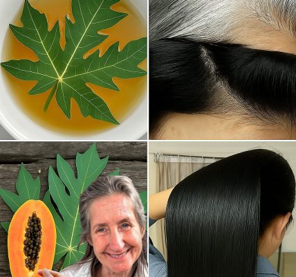 Reveal the Mystery: How Papaya Leaves Can Transform Your Hair into a Stunning Crown! 🌿 Reveal the Mystery: How Papaya Leaves Can Transform Your Hair into a Stunning Crown! 🌿