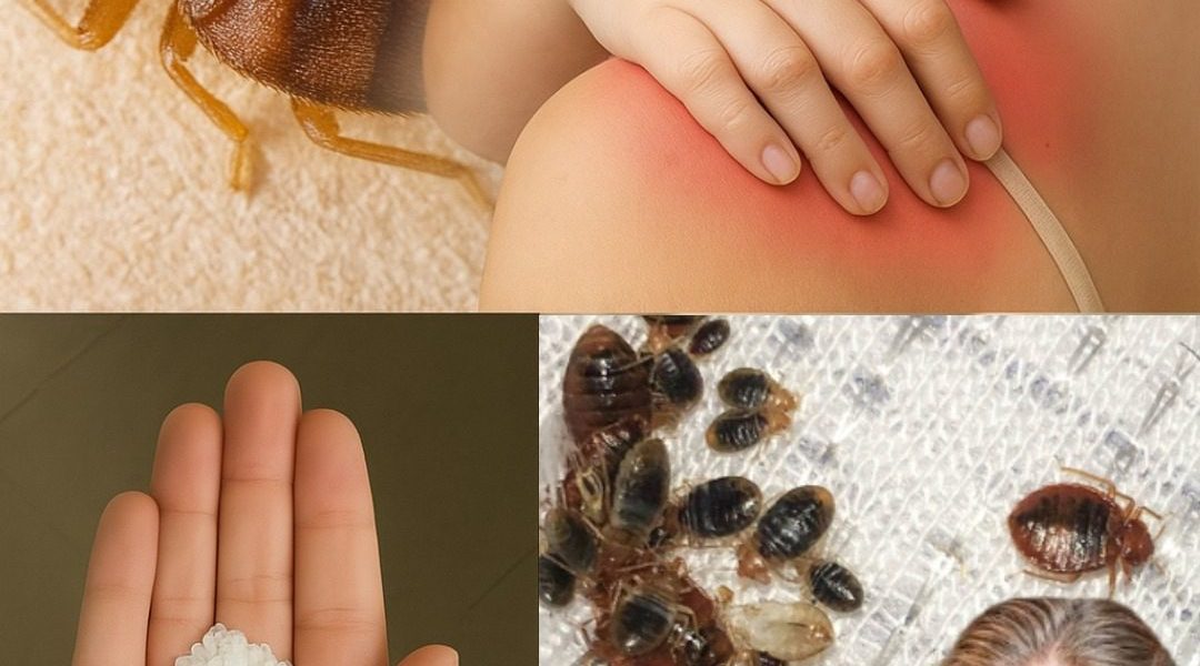 🌱 Unveiling the Hidden Power of Neem Oil: Banishing Garden Pests in Minutes for a Thriving, Bug-Free Paradise! 🌱 Unveiling the Hidden Power of Neem Oil: Banishing Garden Pests in Minutes for a Thriving, Bug-Free Paradise!