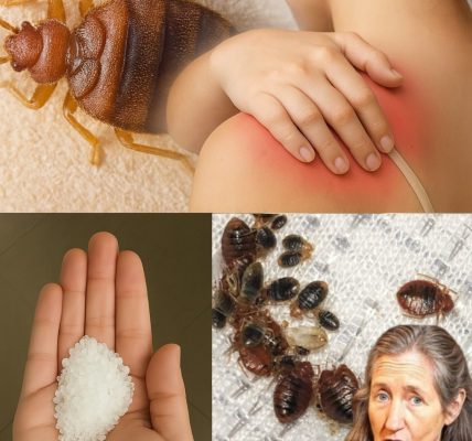 🌱 Unveiling the Hidden Power of Neem Oil: Banishing Garden Pests in Minutes for a Thriving, Bug-Free Paradise! 🌱 Unveiling the Hidden Power of Neem Oil: Banishing Garden Pests in Minutes for a Thriving, Bug-Free Paradise!