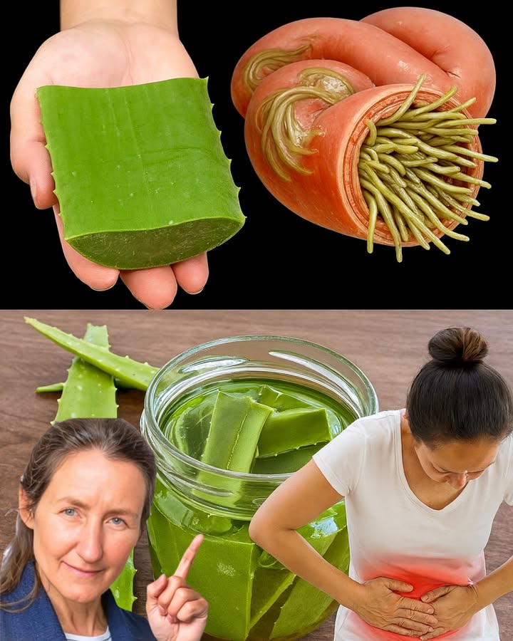 🌿 Unveiling a Natural Powerhouse: The Aloe Vera Remedy That Outshines Garlic, Lemon, and Antibiotics!