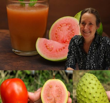 🌿 The Miracle Drink of 2025: Unlock the Secrets of Guava, Soursop, and Tomato