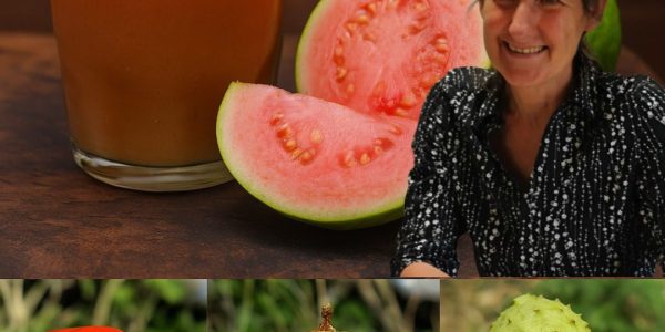 🌿 The Miracle Drink of 2025: Unlock the Secrets of Guava, Soursop, and Tomato 🌿 The Miracle Drink of 2025: Unlock the Secrets of Guava, Soursop, and Tomato