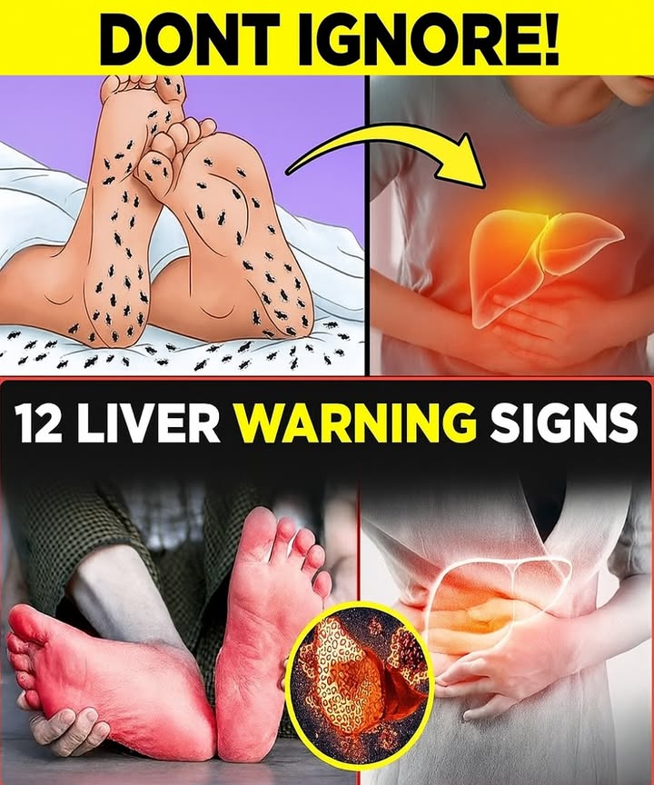 👣 Your Feet Are Talking: Unlock the Hidden Health Clues They Reveal, Including Liver Secrets 👣 Your Feet Are Talking: Unlock the Hidden Health Clues They Reveal, Including Liver Secrets