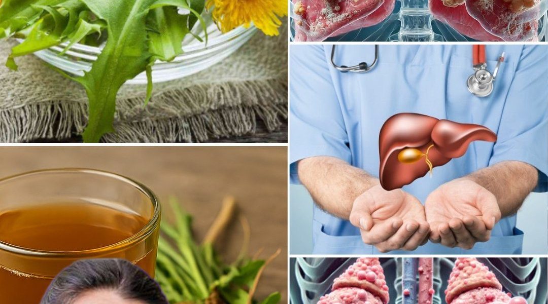 Unearth the Secret Healer: How Dandelion Roots Can Transform Your Health Unearth the Secret Healer: How Dandelion Roots Can Transform Your Health