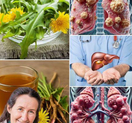 Unearth the Secret Healer: How Dandelion Roots Can Transform Your Health Unearth the Secret Healer: How Dandelion Roots Can Transform Your Health