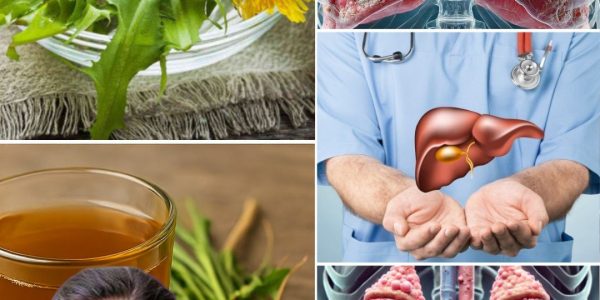 Unearth the Secret Healer: How Dandelion Roots Can Transform Your Health Unearth the Secret Healer: How Dandelion Roots Can Transform Your Health