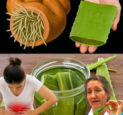 Is Aloe Vera the Hidden Key to a Happier, Healthier Gut? 🌱 Is Aloe Vera the Hidden Key to a Happier, Healthier Gut? 🌱
