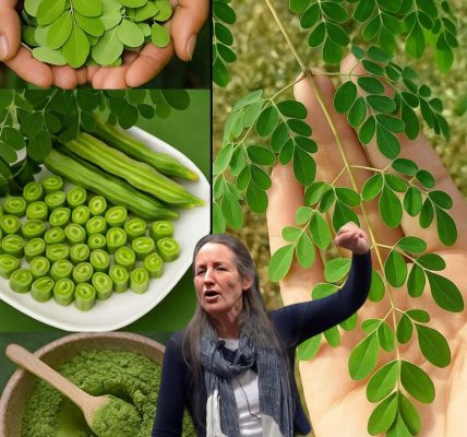 🌱 Moringa’s Hidden Power: 7 Life-Changing Benefits to Supercharge Your Health