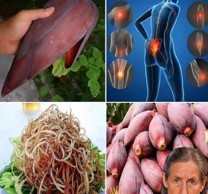 Discover the Secret Superfood: 7 Astonishing Health Benefits of Banana Blossoms That Will Transform Your Well-Being Discover the Secret Superfood: 7 Astonishing Health Benefits of Banana Blossoms That Will Transform Your Well-Being