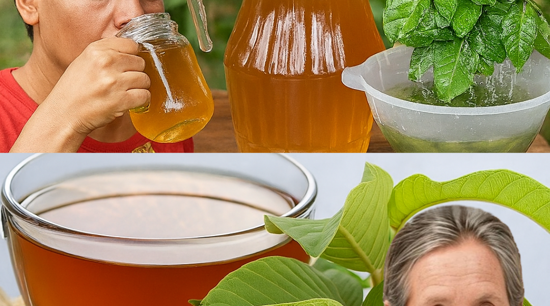 Unlock the Secret Healing Power of Guava Leaf Tea: 9 Life-Changing Benefits You Need to Know Unlock the Secret Healing Power of Guava Leaf Tea: 9 Life-Changing Benefits You Need to Know