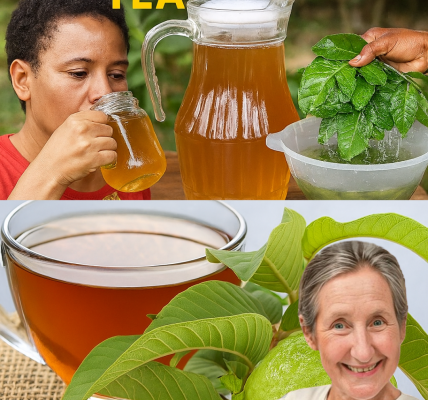 Unlock the Secret Healing Power of Guava Leaf Tea: 9 Life-Changing Benefits You Need to Know Unlock the Secret Healing Power of Guava Leaf Tea: 9 Life-Changing Benefits You Need to Know