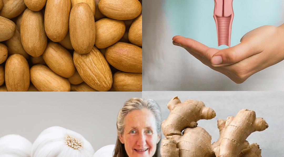 🌿 The Ultimate Superfood Blend: Bitter Kola, Garlic, Ginger, and Honey for Unstoppable Wellness 🌿 The Ultimate Superfood Blend: Bitter Kola, Garlic, Ginger, and Honey for Unstoppable Wellness