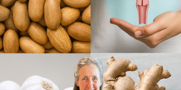 🌿 The Ultimate Superfood Blend: Bitter Kola, Garlic, Ginger, and Honey for Unstoppable Wellness 🌿 The Ultimate Superfood Blend: Bitter Kola, Garlic, Ginger, and Honey for Unstoppable Wellness