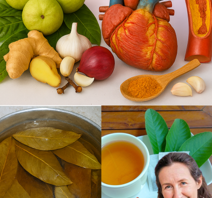 The Ultimate Morning and Post-Dinner Tea: A Health-Boosting Elixir Youâll Love The Ultimate Morning and Post-Dinner Tea: A Health-Boosting Elixir Youâll Love