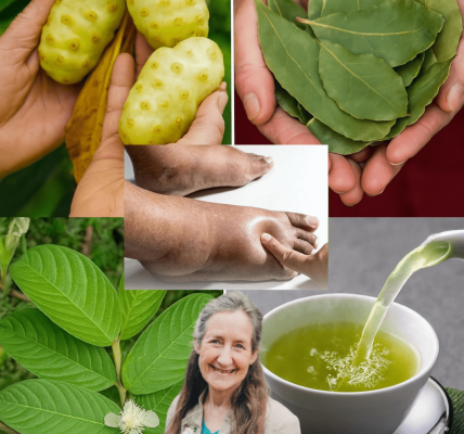 🌿 Unlock the Hidden Power: How Guava Leaves, Noni Fruit, and Bay Leaves Could Transform Your Health