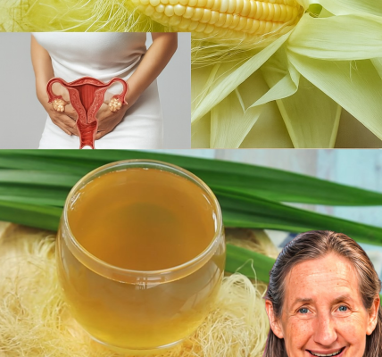 🌽 Unveil the Golden Elixir: Why Corn Silk Tea Is the Health Secret Americans Can’t Stop Sipping! 🌽 Unveil the Golden Elixir: Why Corn Silk Tea Is the Health Secret Americans Can’t Stop Sipping!