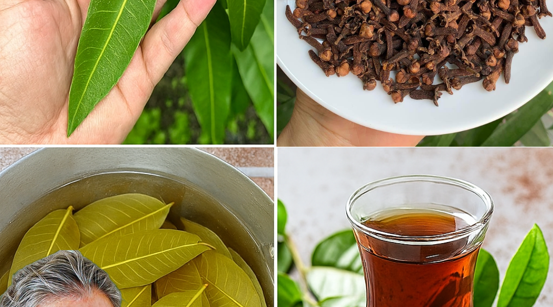 Unlock the Hidden Elixir: Why Mango Leaf and Clove Tea Could Be Your Body’s Best-Kept Secret Unlock the Hidden Elixir: Why Mango Leaf and Clove Tea Could Be Your Body’s Best-Kept Secret