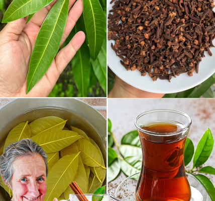 Unlock the Hidden Elixir: Why Mango Leaf and Clove Tea Could Be Your Body’s Best-Kept Secret Unlock the Hidden Elixir: Why Mango Leaf and Clove Tea Could Be Your Body’s Best-Kept Secret