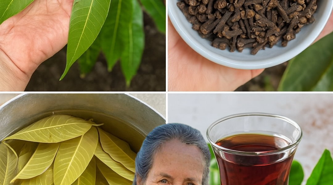 Unlock the Magic of Mango Leaf Tea with Cloves: Your New Wellness Obsession Unlock the Magic of Mango Leaf Tea with Cloves: Your New Wellness Obsession