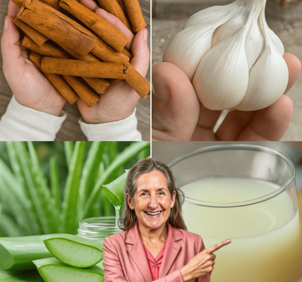 🌟 Cinnamon, Garlic, and Aloe Vera Drink: Nature’s Secret Weapon for Immunity 🌟 Cinnamon, Garlic, and Aloe Vera Drink: Nature’s Secret Weapon for Immunity