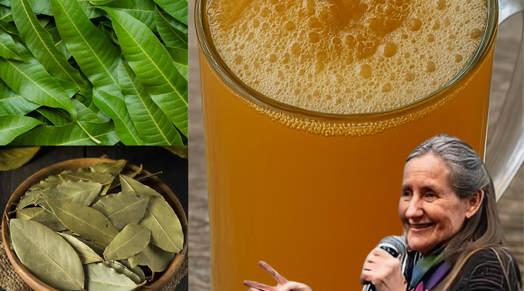 Nature’s Finest Healers: The Power of Avocado, Mango, Bay, and Guava Leaves Nature’s Finest Healers: The Power of Avocado, Mango, Bay, and Guava Leaves