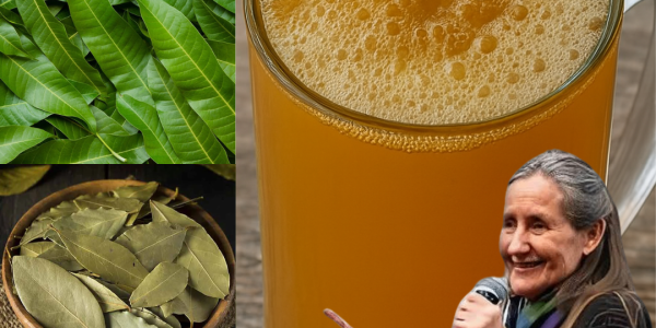 Nature’s Finest Healers: The Power of Avocado, Mango, Bay, and Guava Leaves