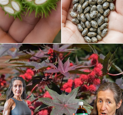 🌿 Unveil the Golden Elixir: 7 Life-Changing Benefits of Castor Oil You Can’t Ignore 🌿 Unveil the Golden Elixir: 7 Life-Changing Benefits of Castor Oil You Can’t Ignore