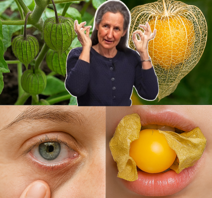 One Leaf Worth Its Weight in Gold: Unveil the Astonishing Eye Health Secrets of Canapum Physalis!