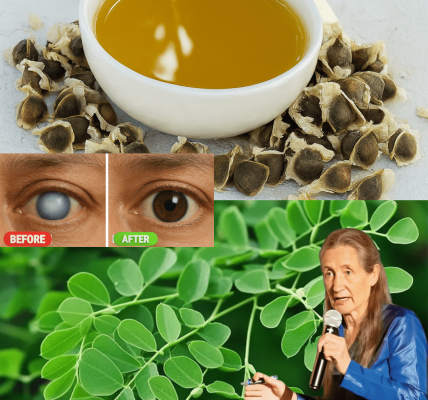 🌱 Unveiling the Miracle of Moringa Seeds: A Hidden Health Treasure 🌱 Unveiling the Miracle of Moringa Seeds: A Hidden Health Treasure