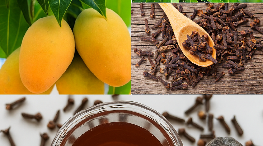 🌿 Unlock the Secret to Vibrant Health: Mango Leaf Tea with Cloves for Seniors 🌿 Unlock the Secret to Vibrant Health: Mango Leaf Tea with Cloves for Seniors