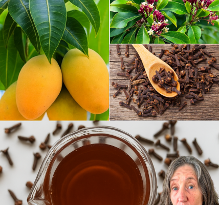 🌿 Unlock the Secret to Vibrant Health: Mango Leaf Tea with Cloves for Seniors