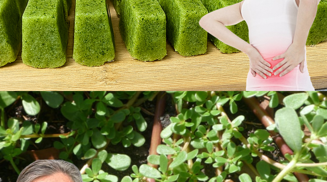 šæ The Secret Superfood Hiding in Your Backyard: Unleash the Power of Purslane šæ The Secret Superfood Hiding in Your Backyard: Unleash the Power of Purslane