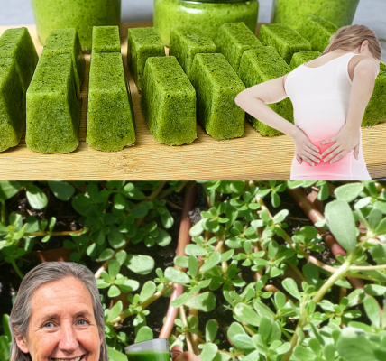🌿 The Secret Superfood Hiding in Your Backyard: Unleash the Power of Purslane 🌿 The Secret Superfood Hiding in Your Backyard: Unleash the Power of Purslane